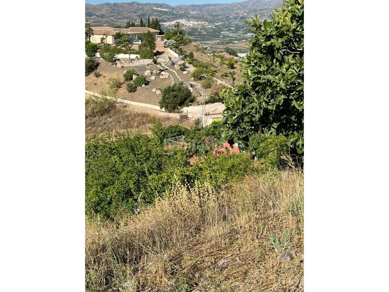 Foto 99ed889a-b851-4028-8a66-7a282e8f77e9. Finca rústica a Norte - Barrio del Pilar - El Reñidero Vélez - Málaga