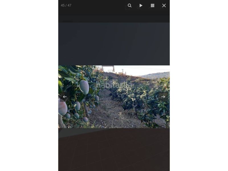 Foto a974e8df-264b-41d8-bae7-213e4d5f43d3. Finca rústica a Norte - Barrio del Pilar - El Reñidero Vélez - Málaga