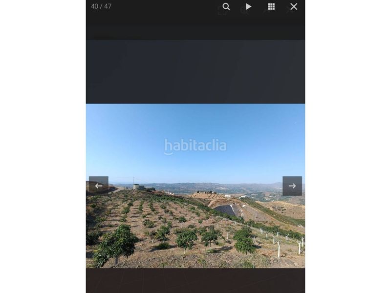 Foto b8bd13e7-a9da-458c-9903-bb3c702050fb. Finca rústica a Norte - Barrio del Pilar - El Reñidero Vélez - Málaga