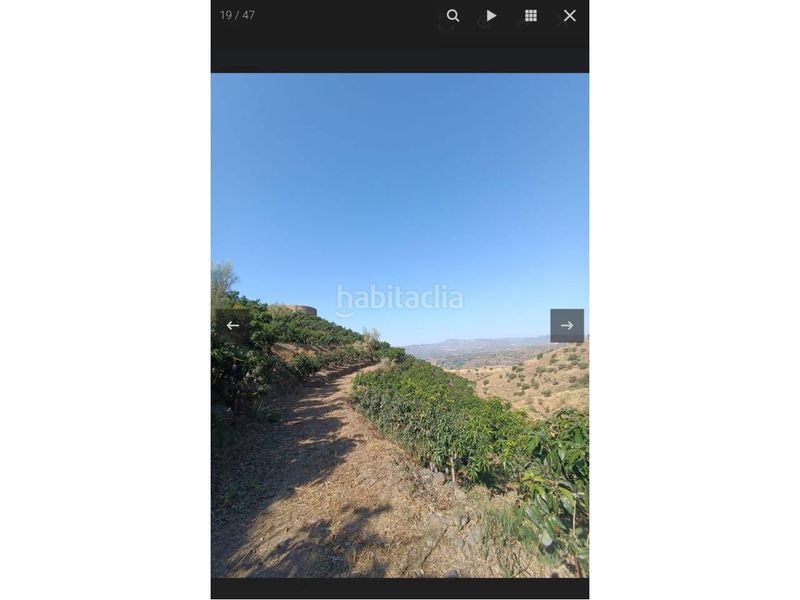 Foto cfbfe8d4-5b83-4816-b58d-395a5a27ad89. Finca rústica a Norte - Barrio del Pilar - El Reñidero Vélez - Málaga