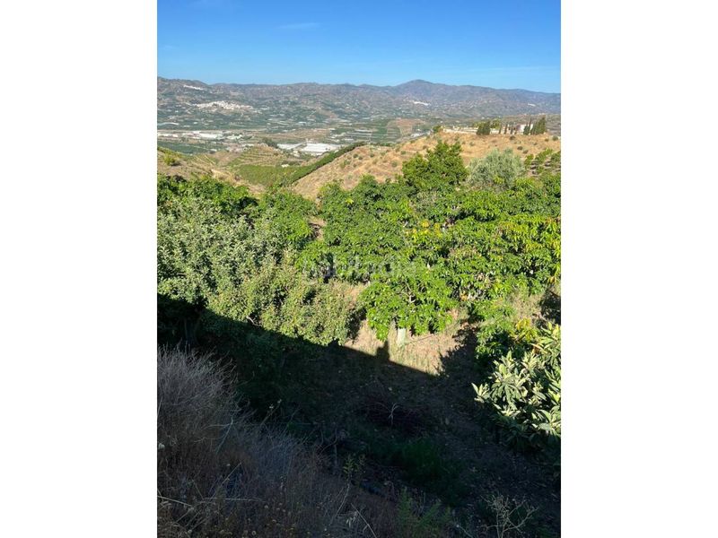 Foto d93419a5-3beb-412a-82a1-a77d2db412d0. Finca rústica a Norte - Barrio del Pilar - El Reñidero Vélez - Málaga