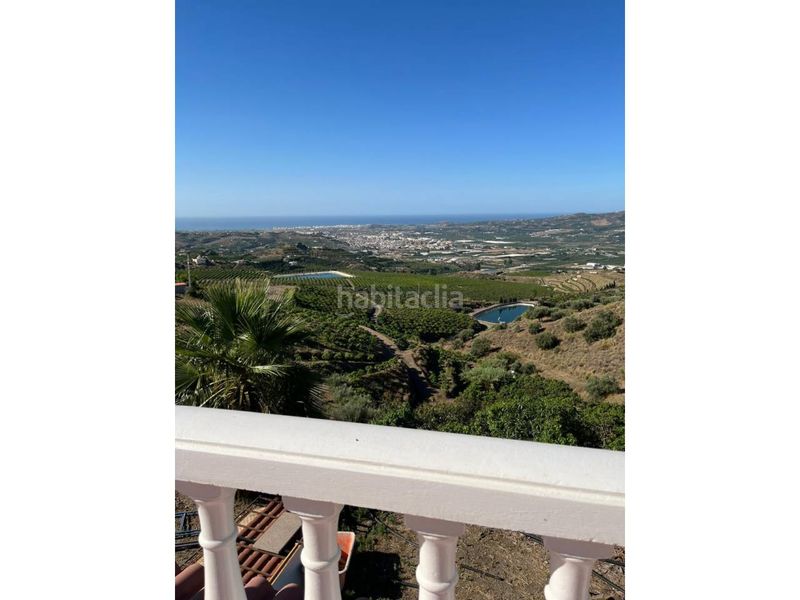 Foto f93f2023-2afd-432e-84c0-3db27eafa40f. Finca rústica a Norte - Barrio del Pilar - El Reñidero Vélez - Málaga