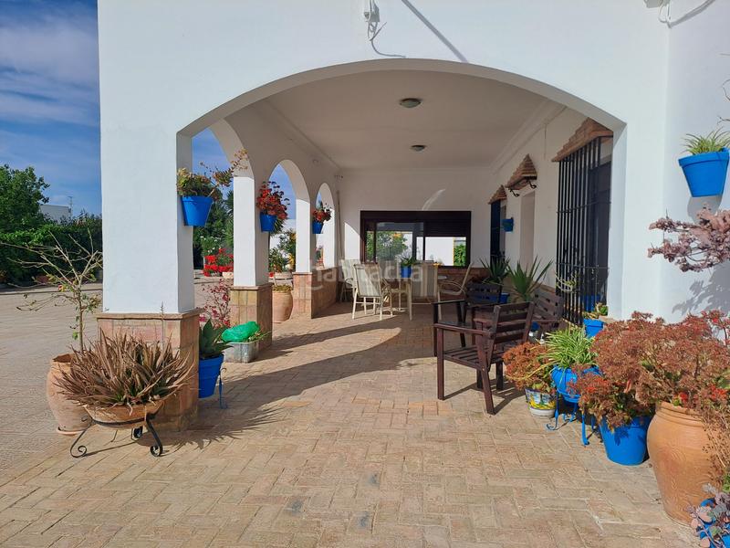 Foto f70fa9b6-85b0-473c-80a4-53a7dbb97579. Chalet parcela rustica en los palacios con parcela de 800mts y 120 mts construidos, la vivienda cuenta con 3 dormitorios, salón-comedor en Palacios y Villafranca (Los)