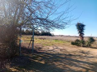 Finca rústica a Pedanías Norte. Parcela rústica en don rodrigo, junto a la yeguada, consta de 10
