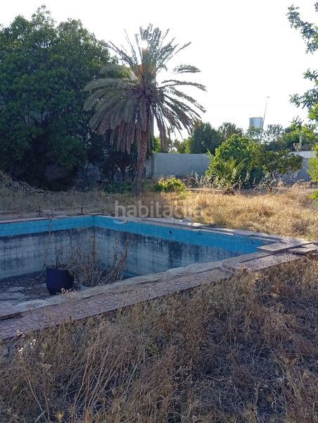 Foto 2f50b5a9-f652-4c45-90dc-d842da0ef801. Finca rústica a La Hacienda - Nueva Andalucía Dos Hermanas