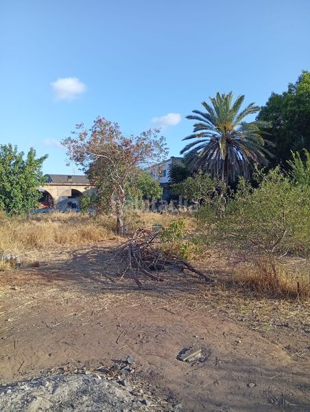Foto 5803c6a9-3773-496e-a0e3-14a8a64044dc. Finca rústica a La Hacienda - Nueva Andalucía Dos Hermanas