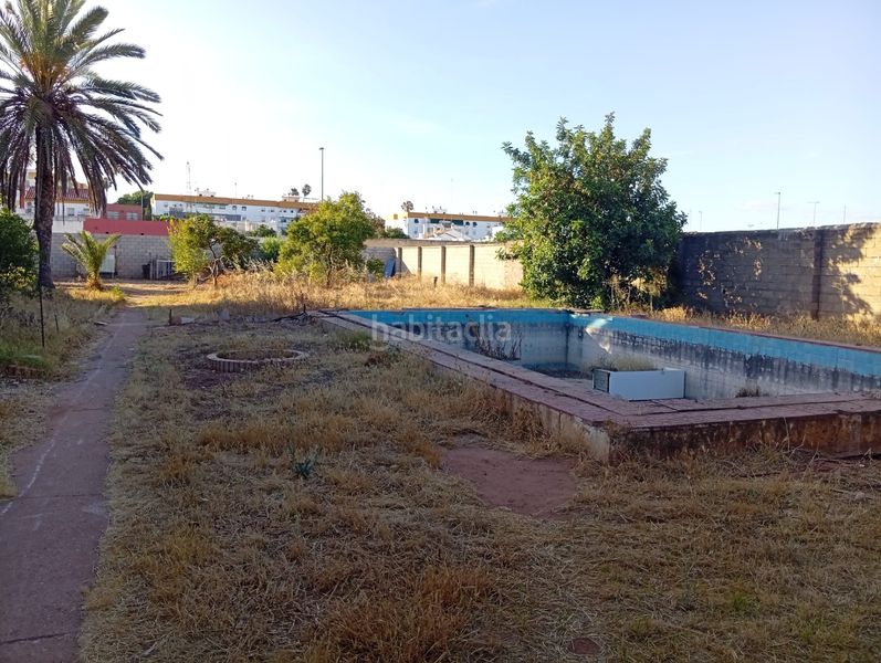 Foto a201c014-d3fa-4245-bf6a-70c641ee930b. Finca rústica a La Hacienda - Nueva Andalucía Dos Hermanas