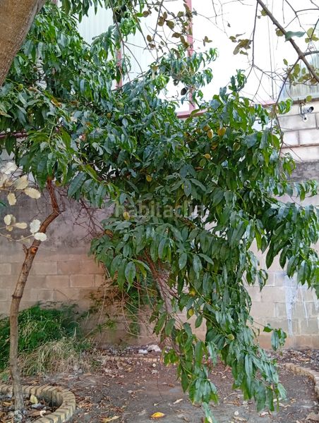 Foto a992defa-f991-425b-8027-194832b05250. Finca rústica a La Hacienda - Nueva Andalucía Dos Hermanas