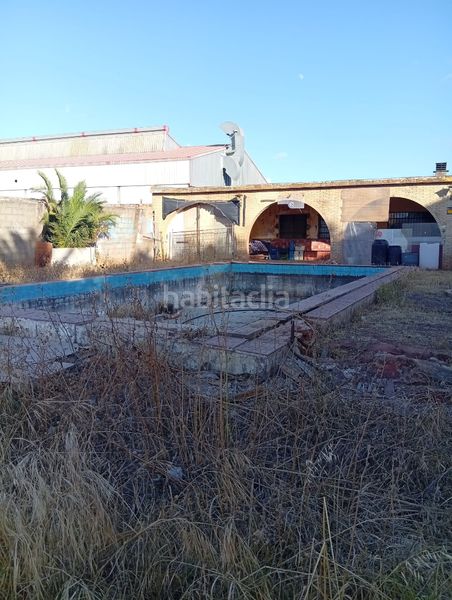 Foto bfef6ec9-f483-4913-bee9-14d4ce785119. Finca rústica a La Hacienda - Nueva Andalucía Dos Hermanas