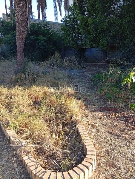 Foto d75c217d-044e-4dff-9d14-66a45a326201. Finca rústica a La Hacienda - Nueva Andalucía Dos Hermanas