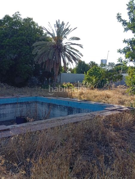 Foto d89a5d7a-33f6-46b9-90f9-300c6b5d5ccb. Finca rústica a La Hacienda - Nueva Andalucía Dos Hermanas