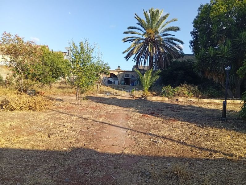 Foto de07ee03-478b-40c6-b66b-e313c3578f9d. Finca rústica a La Hacienda - Nueva Andalucía Dos Hermanas