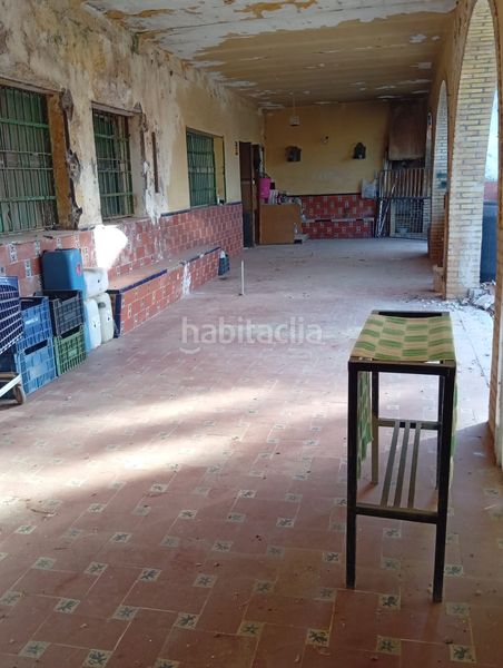 Foto ef64e0ec-78ce-4d2e-aebc-5b0628ce85e3. Finca rústica a La Hacienda - Nueva Andalucía Dos Hermanas