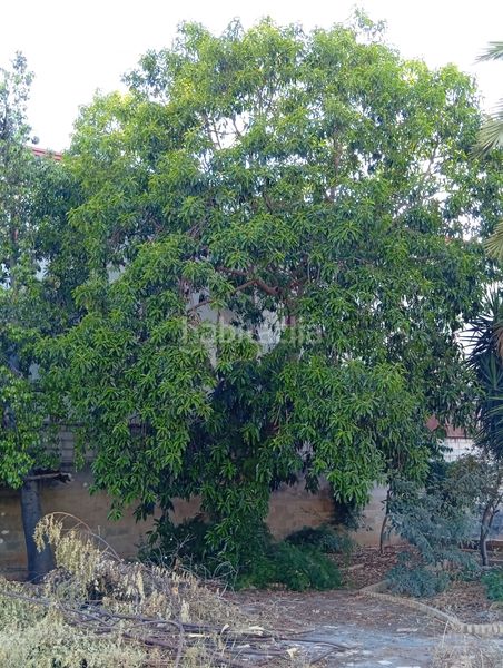 Foto fb8e5db2-7af2-4117-8f9f-342786637fb2. Finca rústica a La Hacienda - Nueva Andalucía Dos Hermanas
