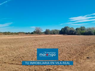 Chalet à Cariñena - Carinyena. Terreno con licencia de edificación entre burriana y vila-real