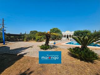 Miete Chalet in Madrigal. Chalet en alquiler en vila-real