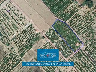 Propriété à Cariñena - Carinyena. Terreno rustico