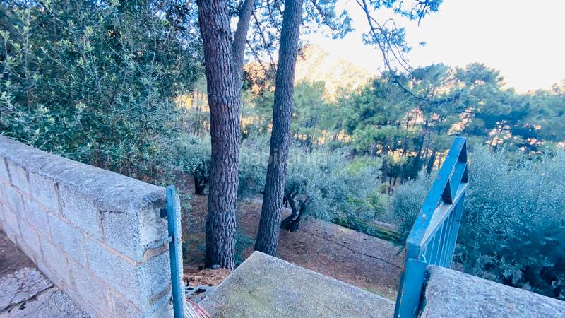 Foto 8dc98e9f-1a66-4c8f-99f9-956abf89138b. Xalet a Eslida