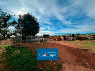 Rural plot in Avenida Alemania-Italia. Terreno rústico en venta en vila-real