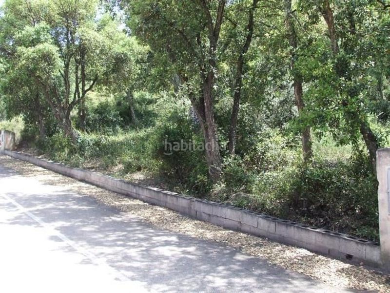 Foto d2478368-b5c5-4b58-a2f2-6058e2ceb00f. Finca rústica a Artana