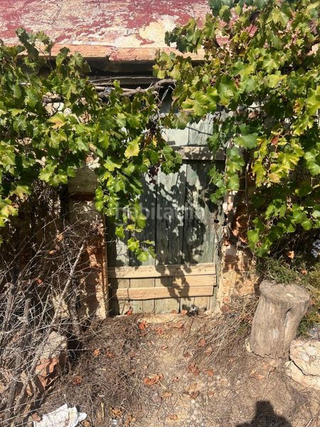 Foto 0e64266c-8754-4fa3-82b9-05280ee842fc. Finca rústica en Coves de Vinromà (les)