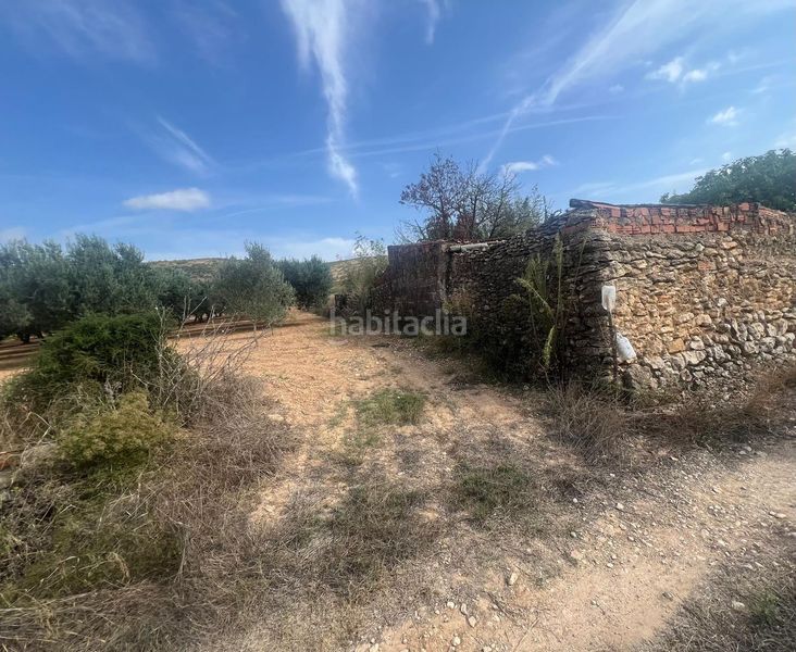 Foto 47e8e973-44c1-4d27-a991-94d98caabc34. Finca rústica en Coves de Vinromà (les)