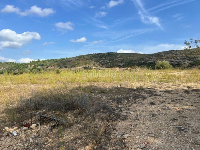 Foto 4b1a61f7-d96f-4cd7-baec-6c872c82eee3. Finca rústica en Coves de Vinromà (les)