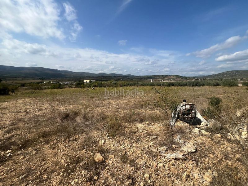 Foto 539f9f06-7eca-4bda-a0f4-530595ce9254. Finca rústica en Coves de Vinromà (les)