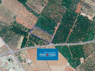 Finca rústica a Camino de Betxí 333