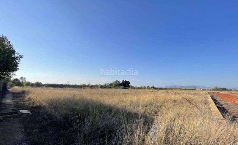 Foto 45ab6a6c-7f66-4f60-aa2d-d94a94c1fa19. Finca rústica a Madrigal Villarreal / Vila - real