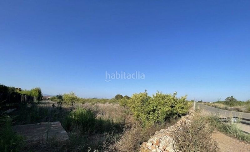 Foto da78b05f-35d8-47f9-a525-ff0fd13e5167. Finca rústica a Madrigal Villarreal / Vila - real