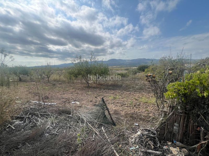 Foto 15b7bd0b-c91f-4416-a685-e476229bcb97. Finca rústica a Coves de Vinromà (les)