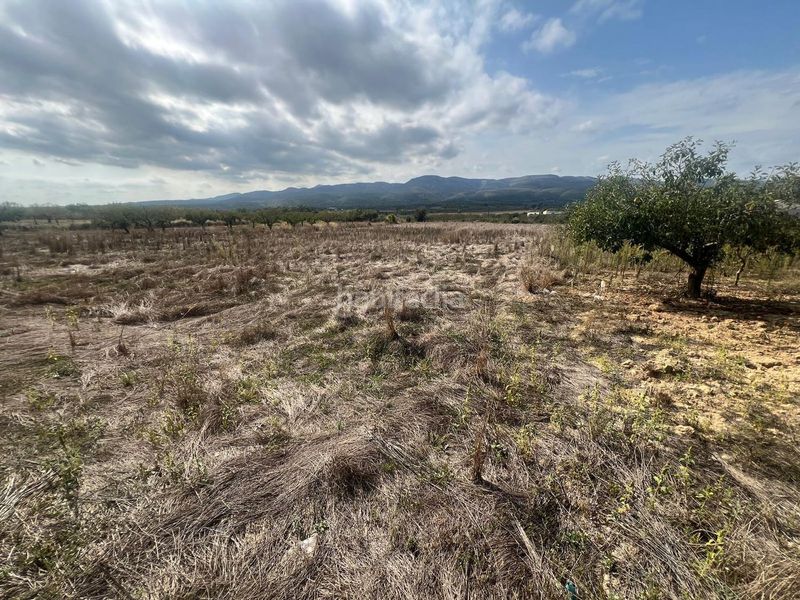 Foto b8152c8c-287e-4db4-abf8-f3f610997e00. Finca rústica a Coves de Vinromà (les)