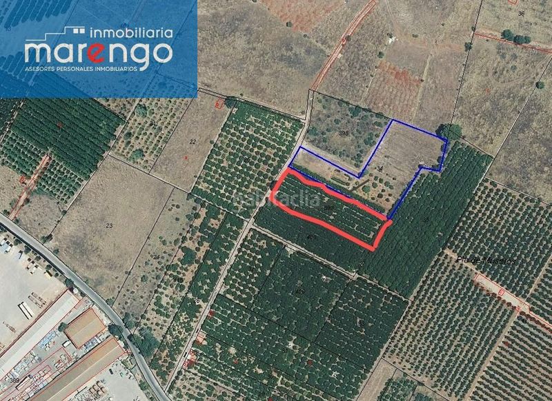 Foto c107c82c-da76-4bd8-aee4-f25c6aed47b5. Finca rústica a Santa Quiteria - Les Boqueres Almazora / Almassora
