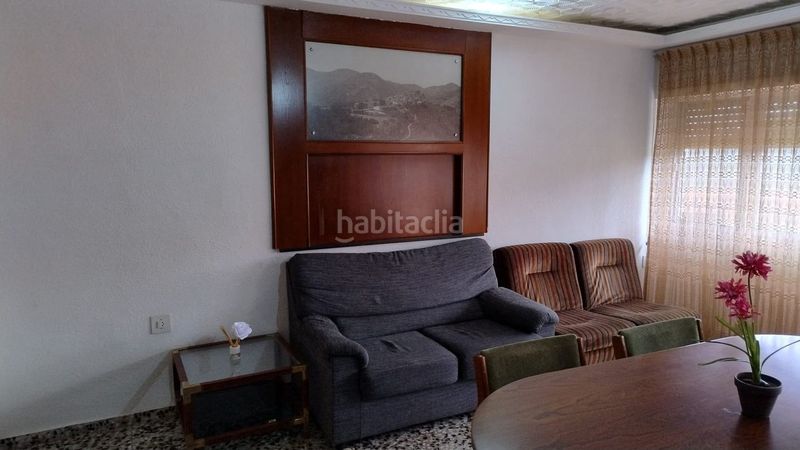 Foto bf4791c9-d3b2-4915-bcd8-f71c641ea5d0. Pis a Bejís