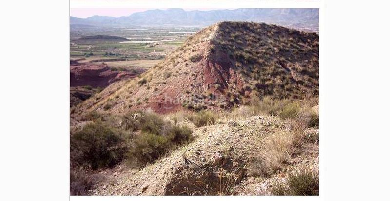 Foto 038a22c0-5798-41b8-a1f9-4fc49320b4e2. Finca rústica a n/a a Agost