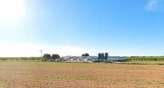 Capannone industriale  Calle diseminados 17w. Conjunto de naves industriales para explotación cunícola en nava