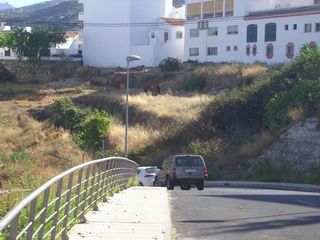 Terreny residencial a Calle Nuestra Señora de las Nieves 36