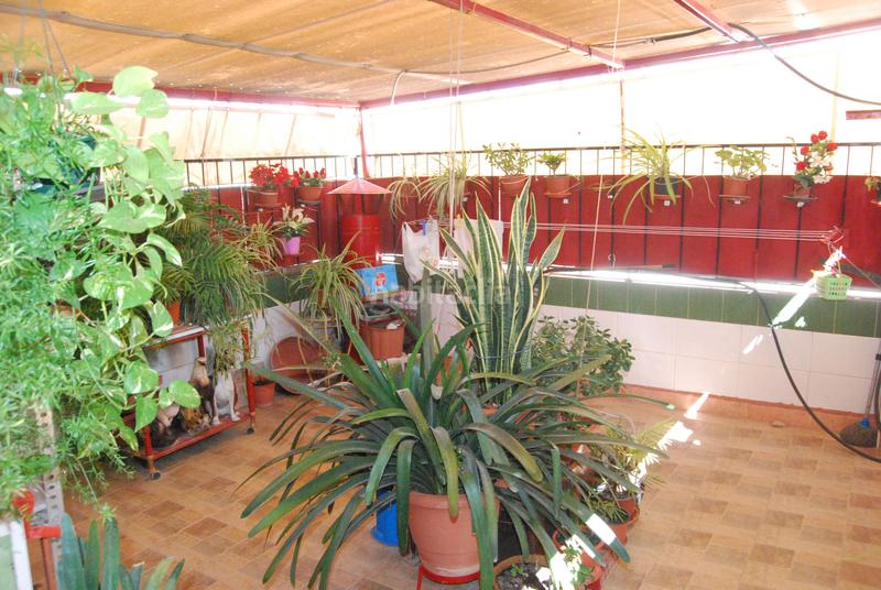 Foto 7f5dae12-09de-4dbe-b63f-e5a0be73d367. Casa a Centro Sant Vicent del Raspeig