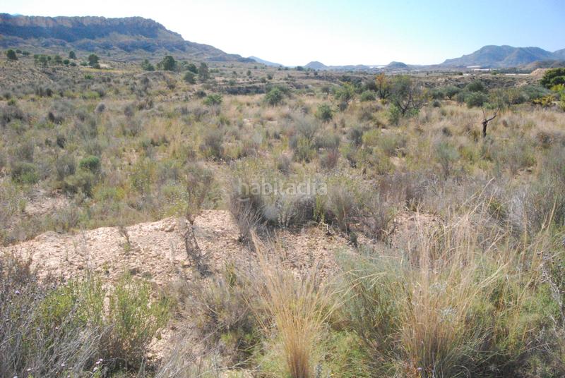 Foto 08ecd84b-a048-4e6f-bf06-027216359e7b. Finca rústica oportunidad muy interesante¡¡¡¡¡¡ en Alicante