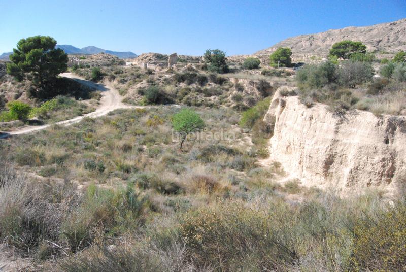 Foto 0a3b3867-159a-4cd2-a787-7fbc748368bf. Finca rústica oportunidad muy interesante¡¡¡¡¡¡ en Alicante