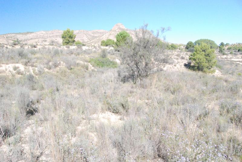 Foto 0ae8462f-e31b-4731-9b2a-a5d01c768168. Finca rústica oportunidad muy interesante¡¡¡¡¡¡ en Alicante