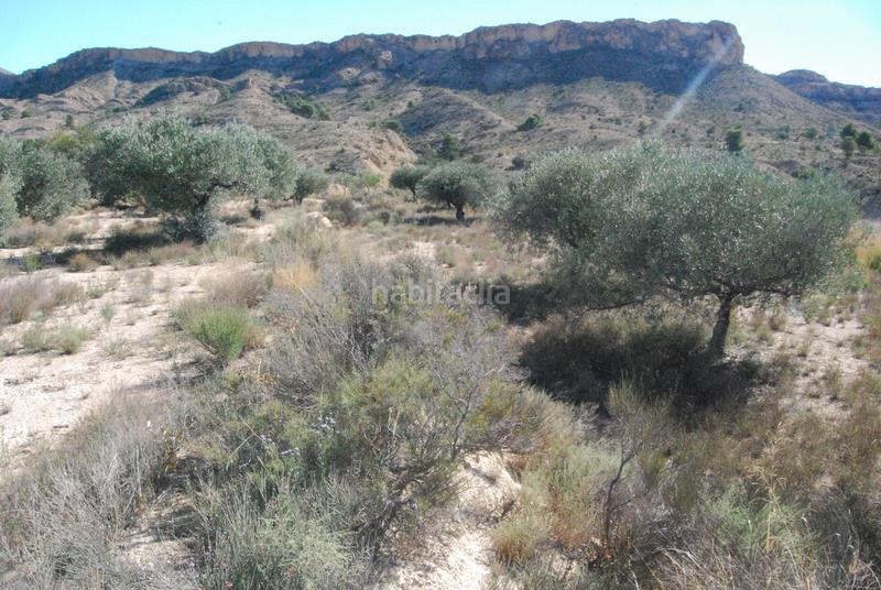 Foto 19365f59-4239-4be9-969f-7f2cc52b29d8. Finca rústica oportunidad muy interesante¡¡¡¡¡¡ en Alicante