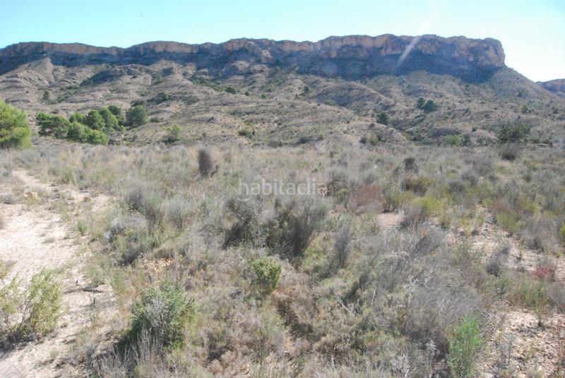 Foto 4d6a5c70-5575-4446-a3fe-55c720848068. Finca rústica oportunidad muy interesante¡¡¡¡¡¡ en Alicante