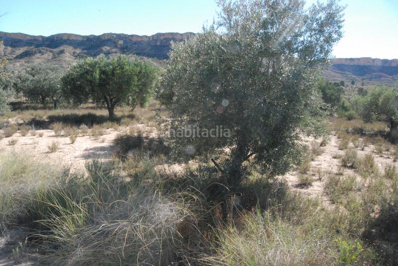 Foto 5e6b9c95-4166-4d4f-a5ae-e1d0f4e93943. Finca rústica oportunidad muy interesante¡¡¡¡¡¡ en Alicante