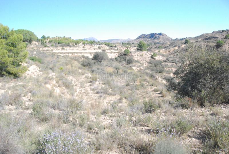 Foto 609f7912-f81d-4a31-b686-b2ae8d01846f. Finca rústica oportunidad muy interesante¡¡¡¡¡¡ en Alicante