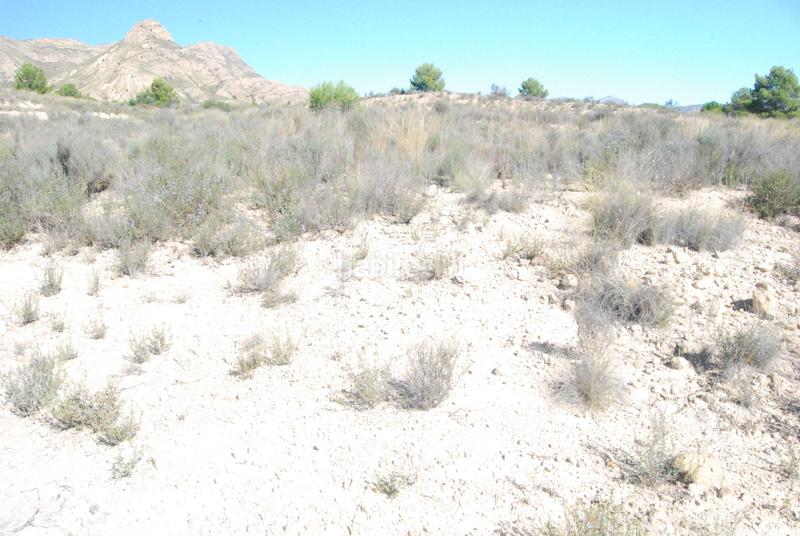 Foto 94b2e660-2fc2-4d6a-92b2-bdc96f6f40e4. Finca rústica oportunidad muy interesante¡¡¡¡¡¡ en Alicante