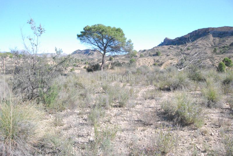 Foto b0b579ea-78bb-4fdc-b04d-eb9bfbfe3ecb. Finca rústica oportunidad muy interesante¡¡¡¡¡¡ en Alicante