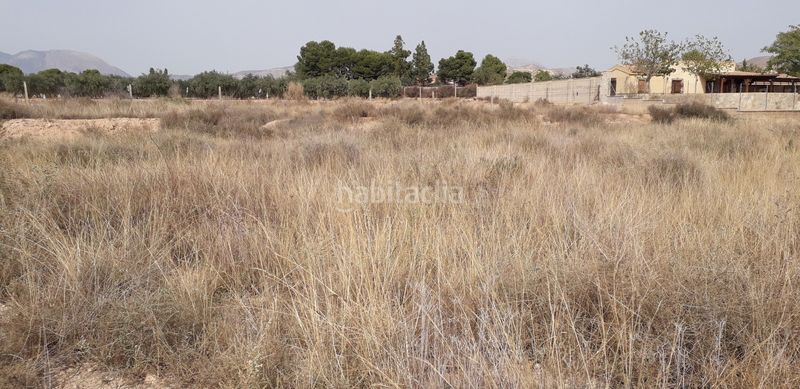 Foto 0c54e727-8b89-463f-b4c3-23dff144515d. Finca rústica a Moralet Alicante