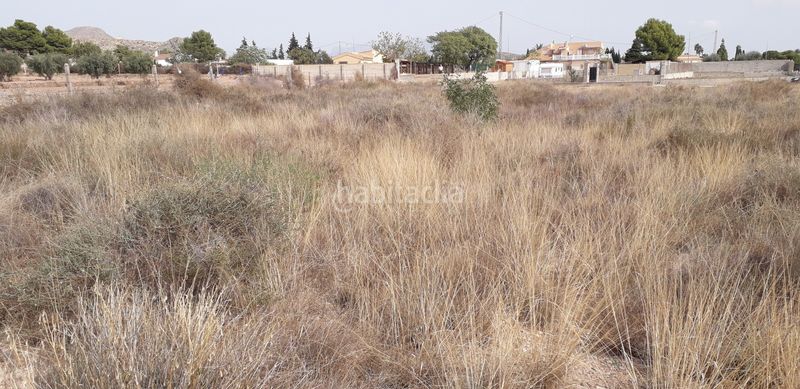 Foto 3d7c82f6-af26-4c55-8256-97fb21a01a62. Finca rústica a Moralet Alicante
